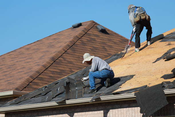 Best Chimney Flashing Repair  in Lyons, GA